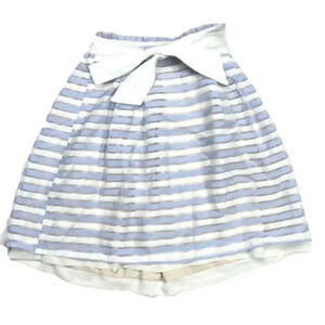 Blue Striped Organza Mini Skirt